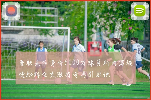 曼联关注身价5000万球员科内若埃德松转会失败将考虑引进他